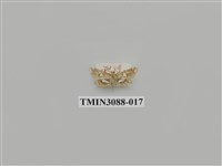 藏品(螟蛾66)的圖片